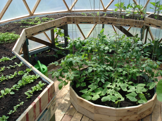 Dome greenhouse | a woodwork